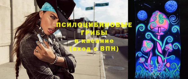 хмурый Верхний Тагил