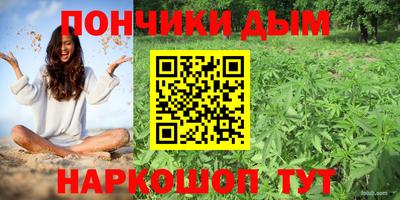 эйфоретик Малгобек