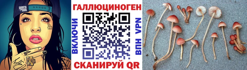 наркошоп  Георгиевск  Галлюциногенные грибы мицелий 