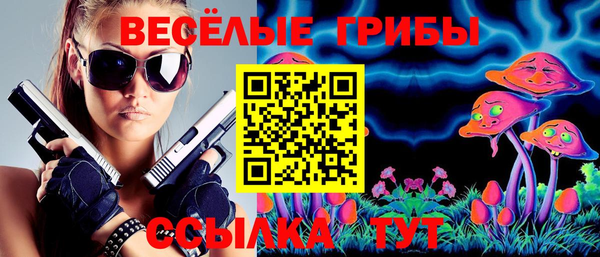 Галлюциногенные грибы GOLDEN TEACHER Георгиевск