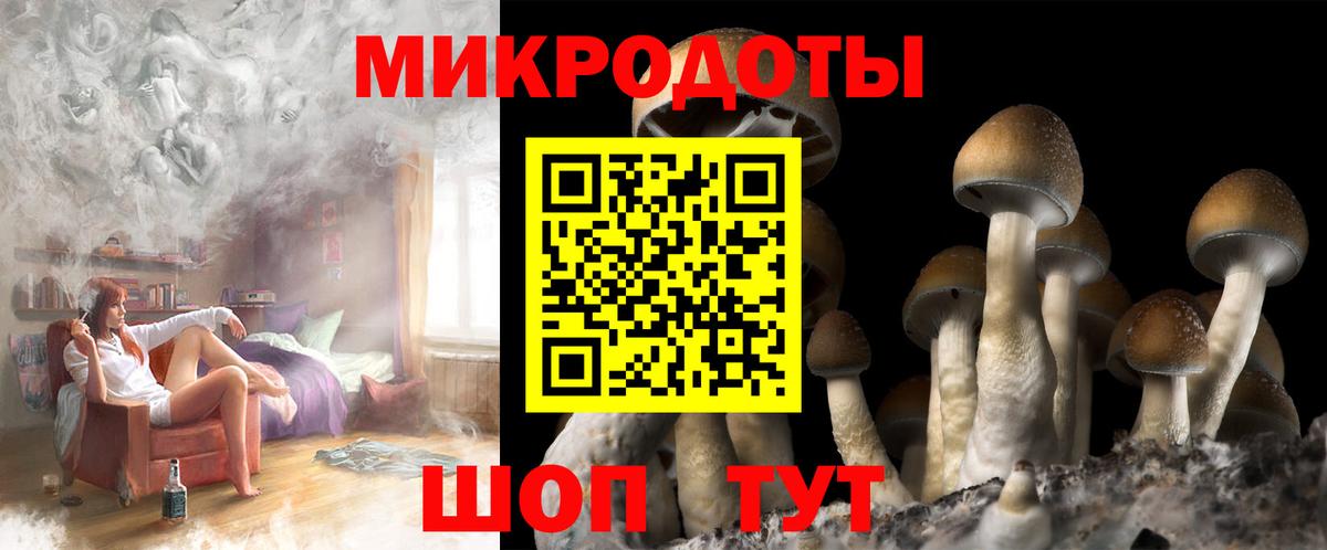 Галлюциногенные грибы Cubensis  Вход с VPN  Георгиевск  Псилоцибиновые грибы ЛСД 